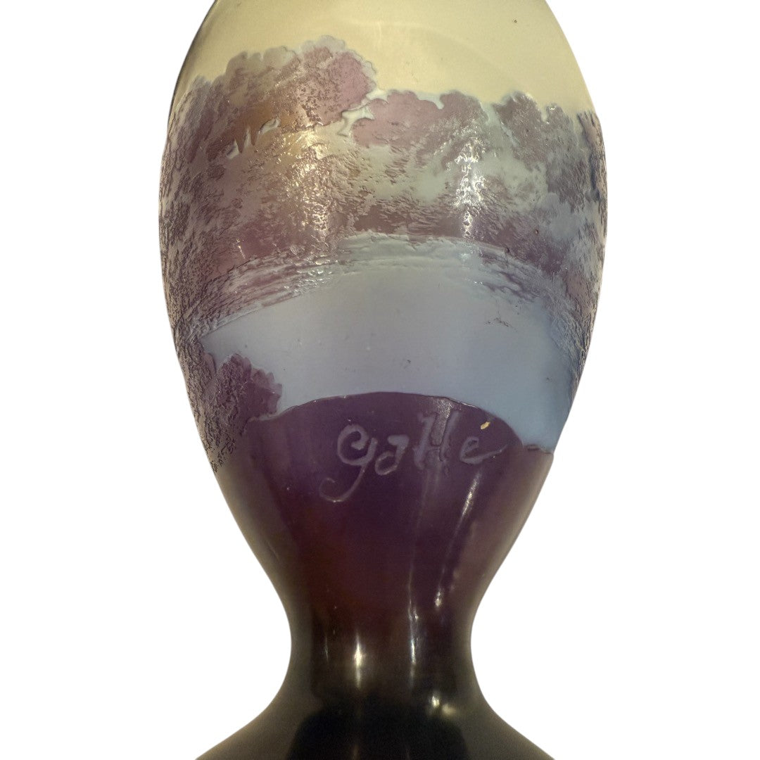 EMILE GALLE AN ART NOUVEAU CAMEO GLASS - Antiquité Gallery